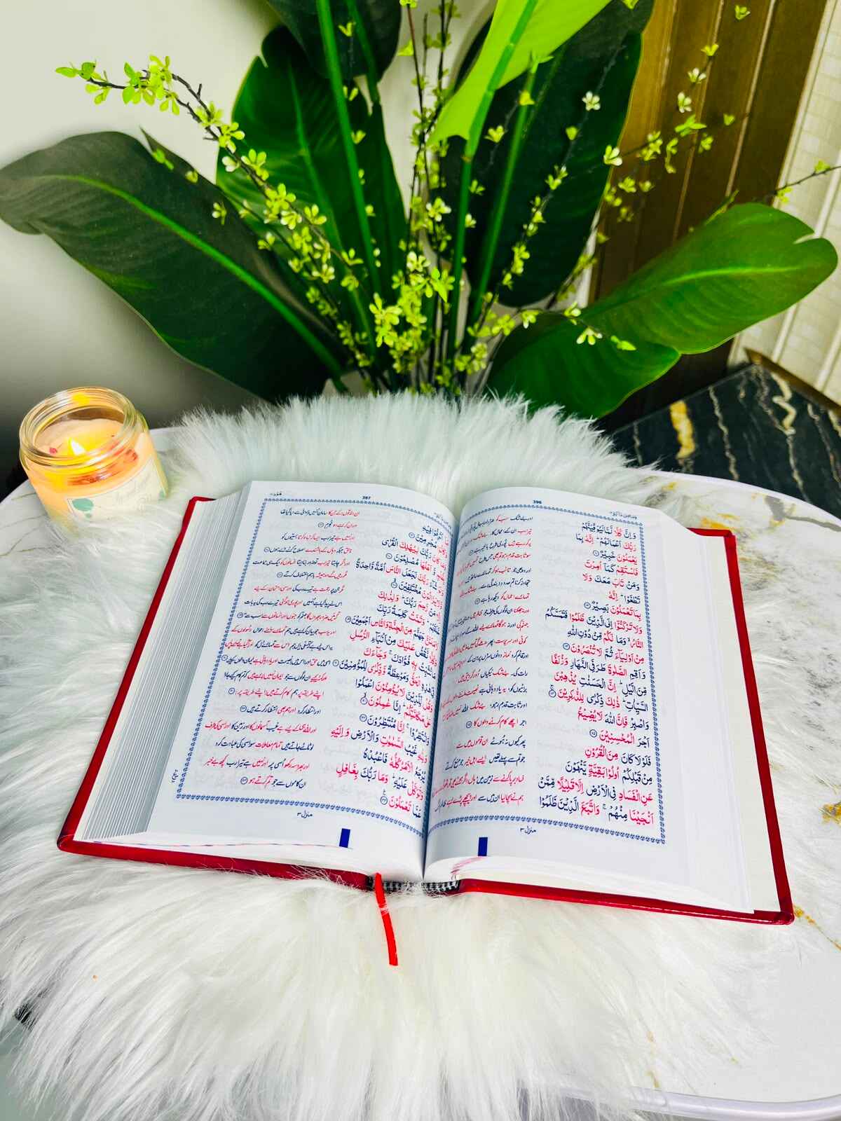 Two-Color Quran with Urdu Translation By Molana Shabir Ahmad